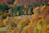 gal/Autumn_in_Praid/_thb_DSC_2695.JPG